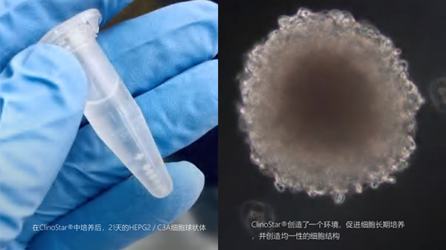 Visit our on-demand webinar library