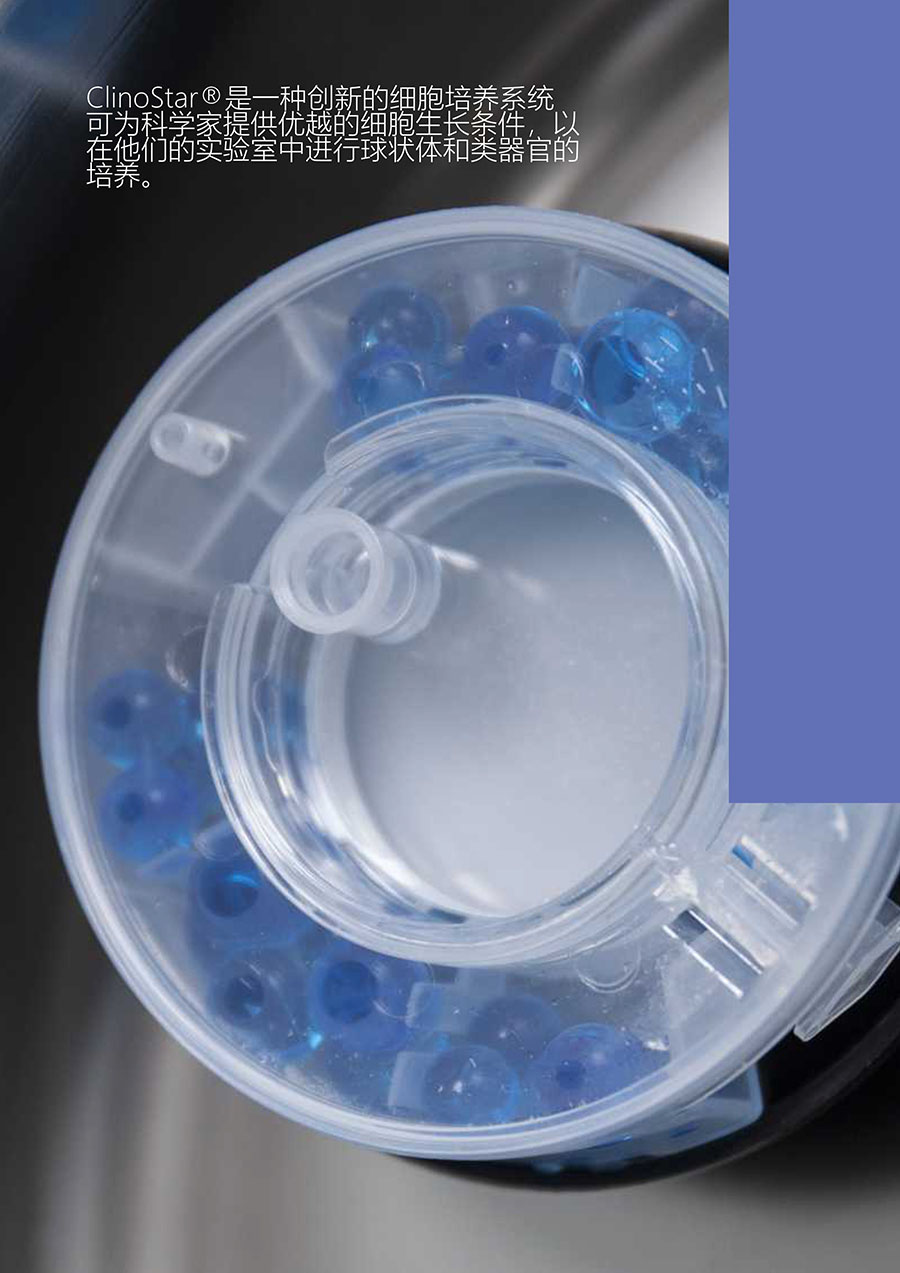 1666082983112496.jpg 01.jpg