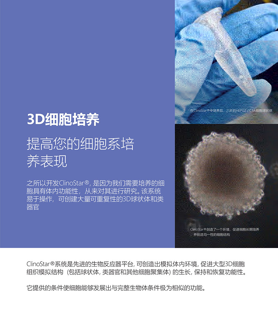 1666082989150417.jpg 02.jpg