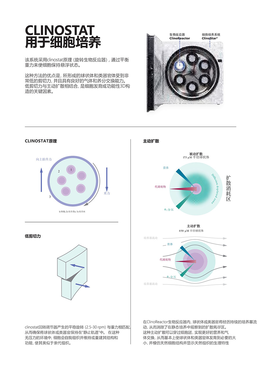 1666082992256377.jpg 03.jpg