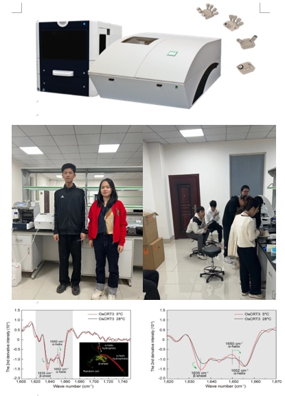 1701328144226585.jpg 長沙理工大學.jpg